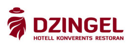 dzingel_logo